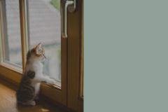 かくらぼ｜アイキャッチ集のコピー4