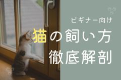 かくらぼ｜アイキャッチ集のコピー